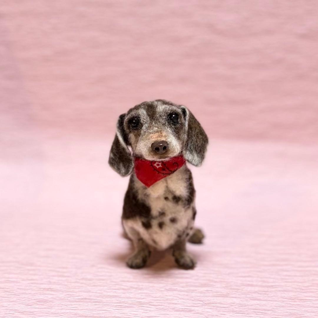 える　羊毛フェルト　Mダックス