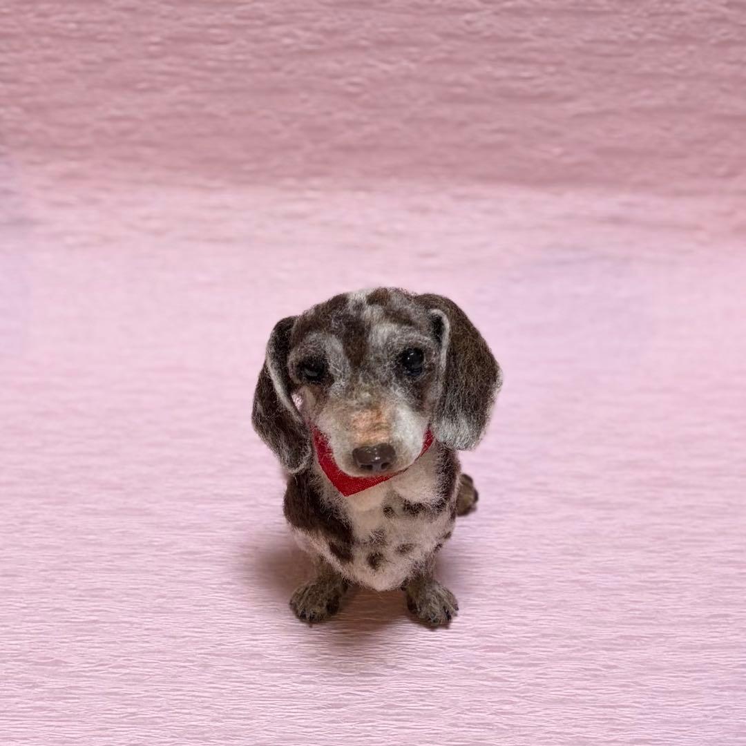 える　羊毛フェルト　Mダックス