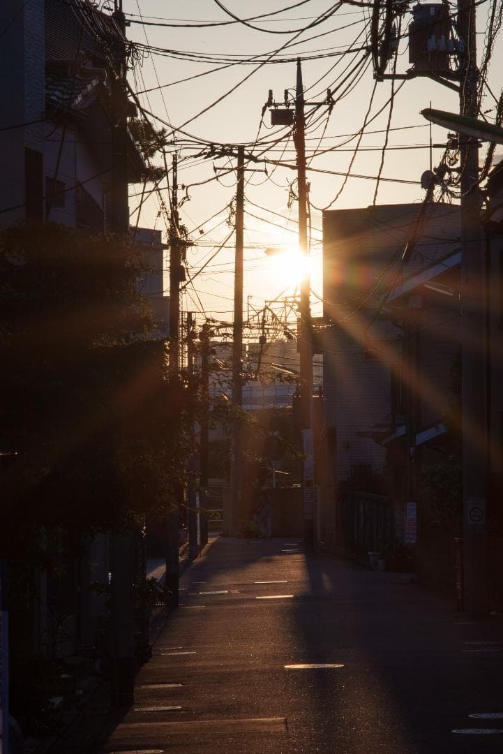 漆黒のシュナイダー！Tele-Xenar 150mm オールドレンズ
