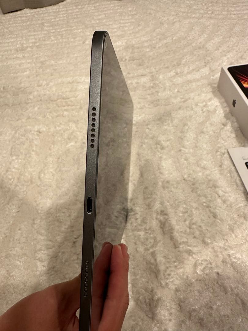 Apple iPad Pro 第３世代　256GB