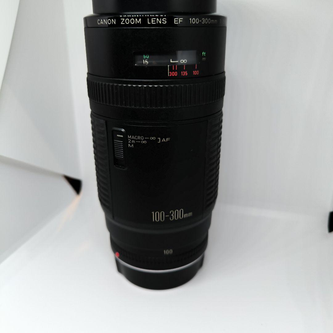 遠くの風景も人物もOK✨Canon EF 100-300 超望遠レンズ キヤノン