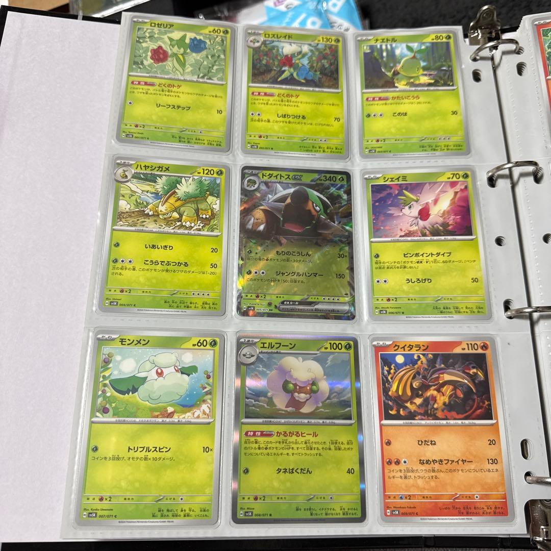 ポケモンカード sv5K ワイルドフォース まとめ マツバの確信 sar 他