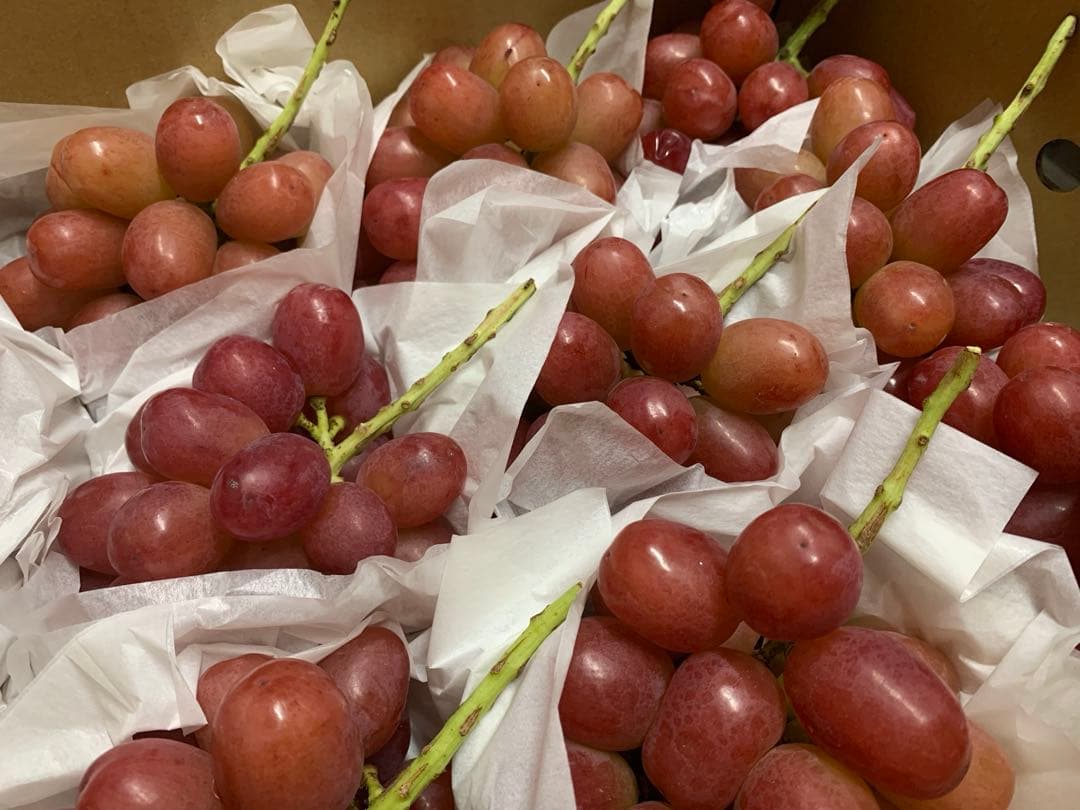 ①クイーンルージュ®︎家庭用（3.5キロ以上）