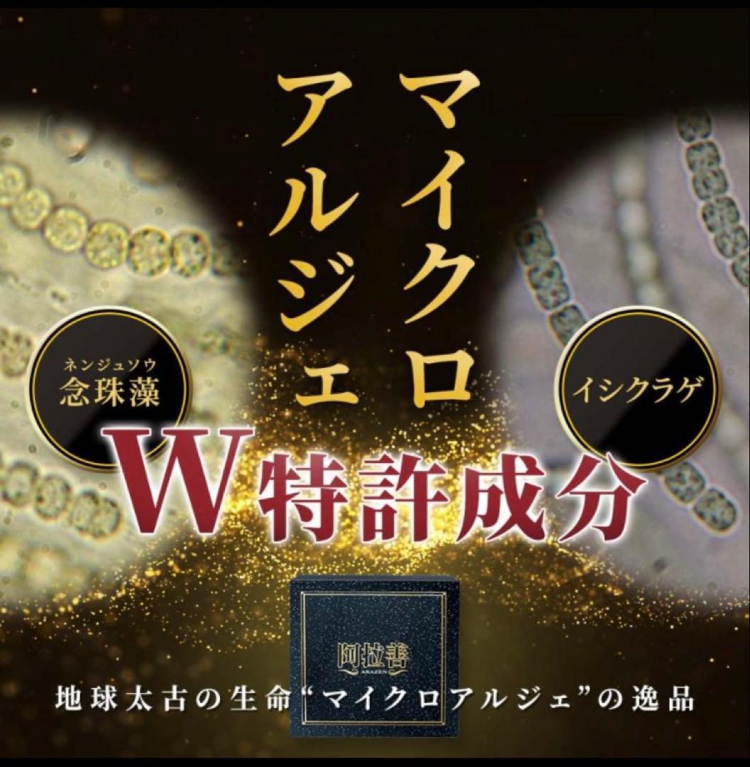 【期間限定特別価格】マイクロアルジェ・阿拉善 【未開封1箱】