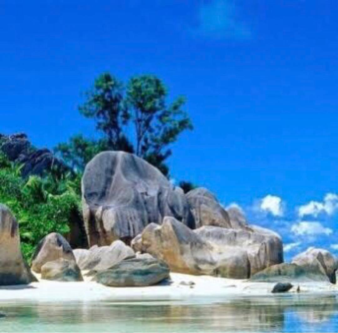 ももたんページ