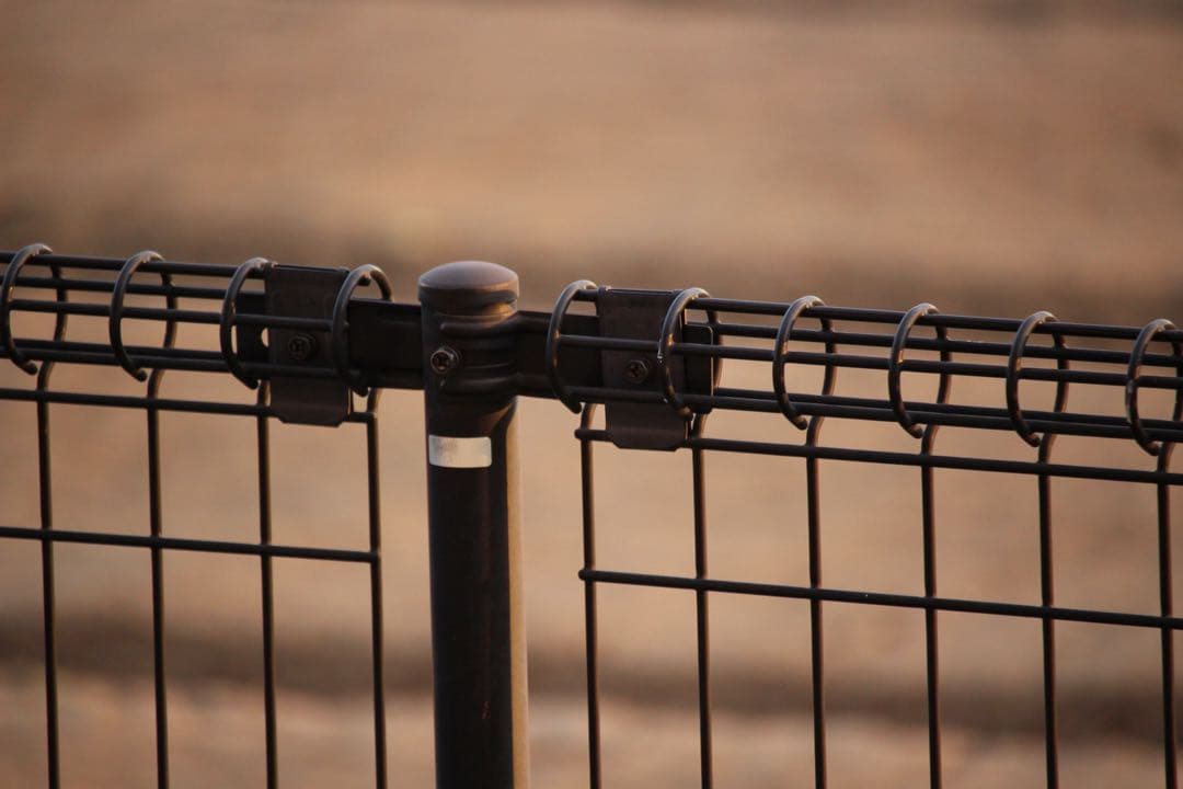 【美品】Canon EF-S 55-250mm IS STM 手ぶれ補正 望遠