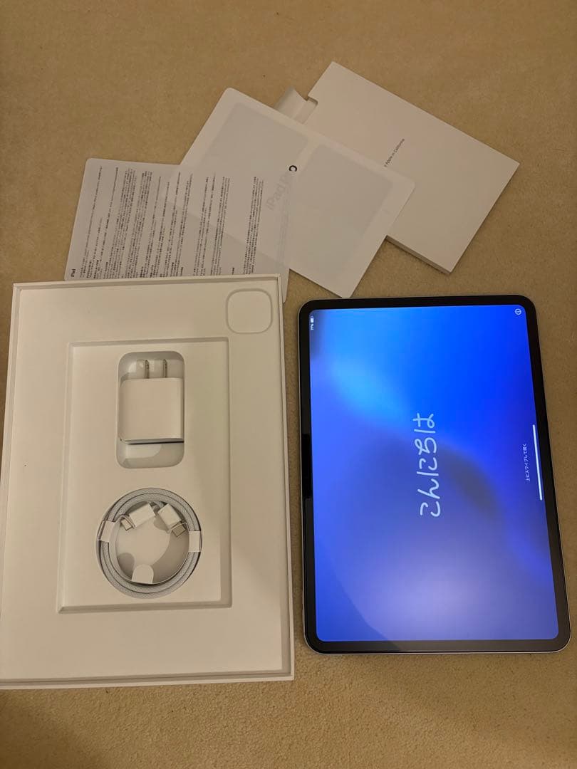 Applecare+付きiPad Pro 11インチM4 Wi-Fi 256GB