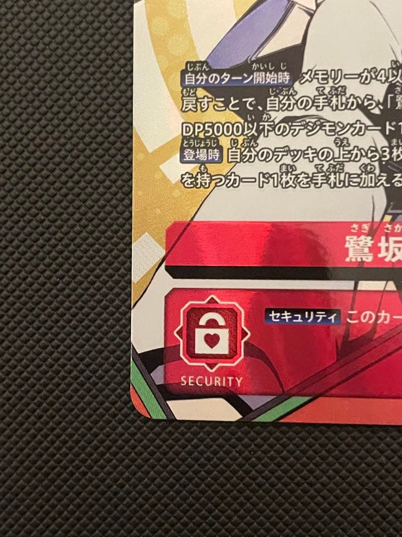 プ*チ様 デジモン sp ヒロコ