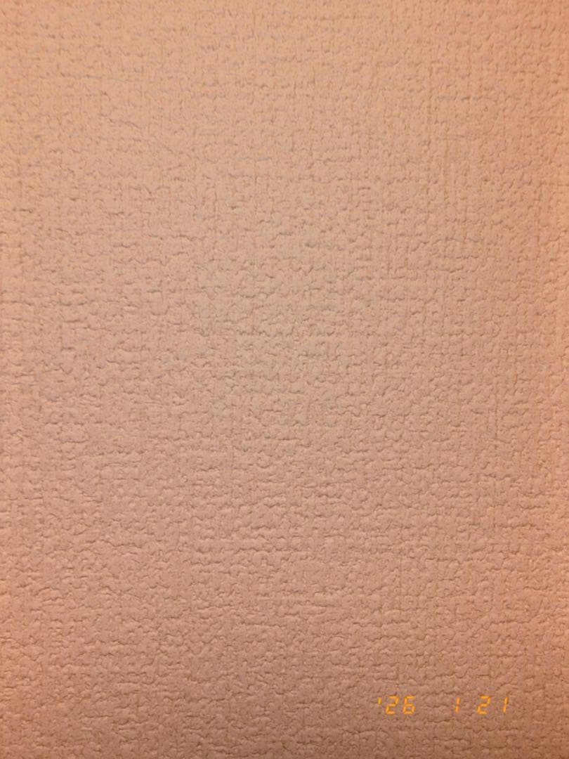 【美品】【値下げ交渉不可】Fujifilm Xhalf シルバー、おまけ付き