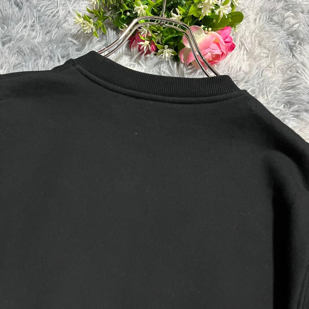 Dior トレーナー スウェット CDロゴ メンズ 完売　山下智久さん着用　黒