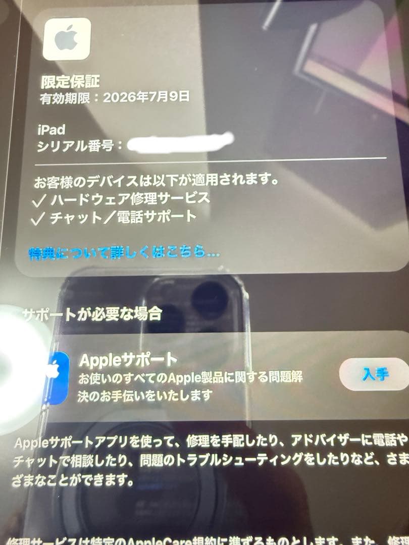 a*e様 おまけ多数 Apple iPad a16 第11世代 青 Wi-Fi