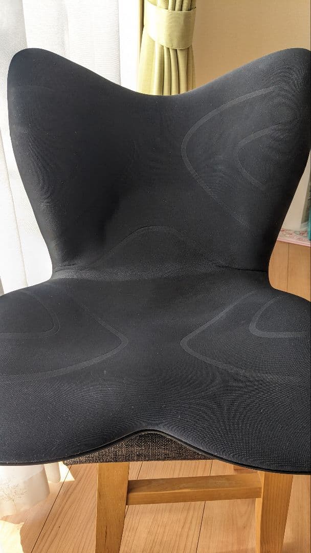 「あすか。」mtg Stylepremium スタイルプレミアム姿勢ケア黒