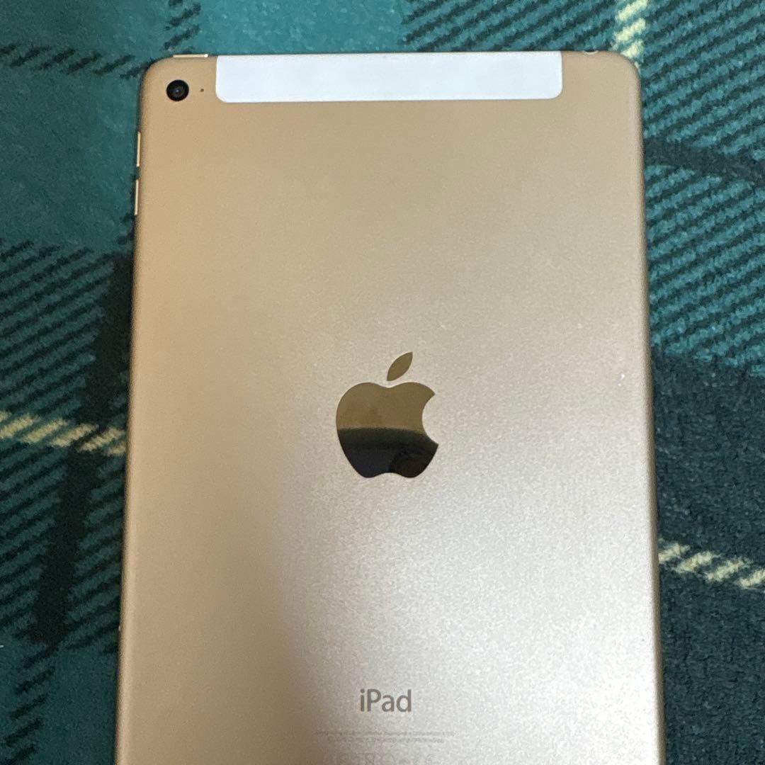 iPad本体 iPadmini