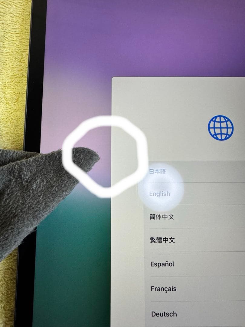 「美品」Apple iPad pro第三世代12.9インチ512GBWi-Fi