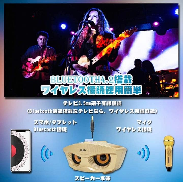 Bluetooth カラオケマイク ワイヤレスマイク 多機能ノイズキャンセリング