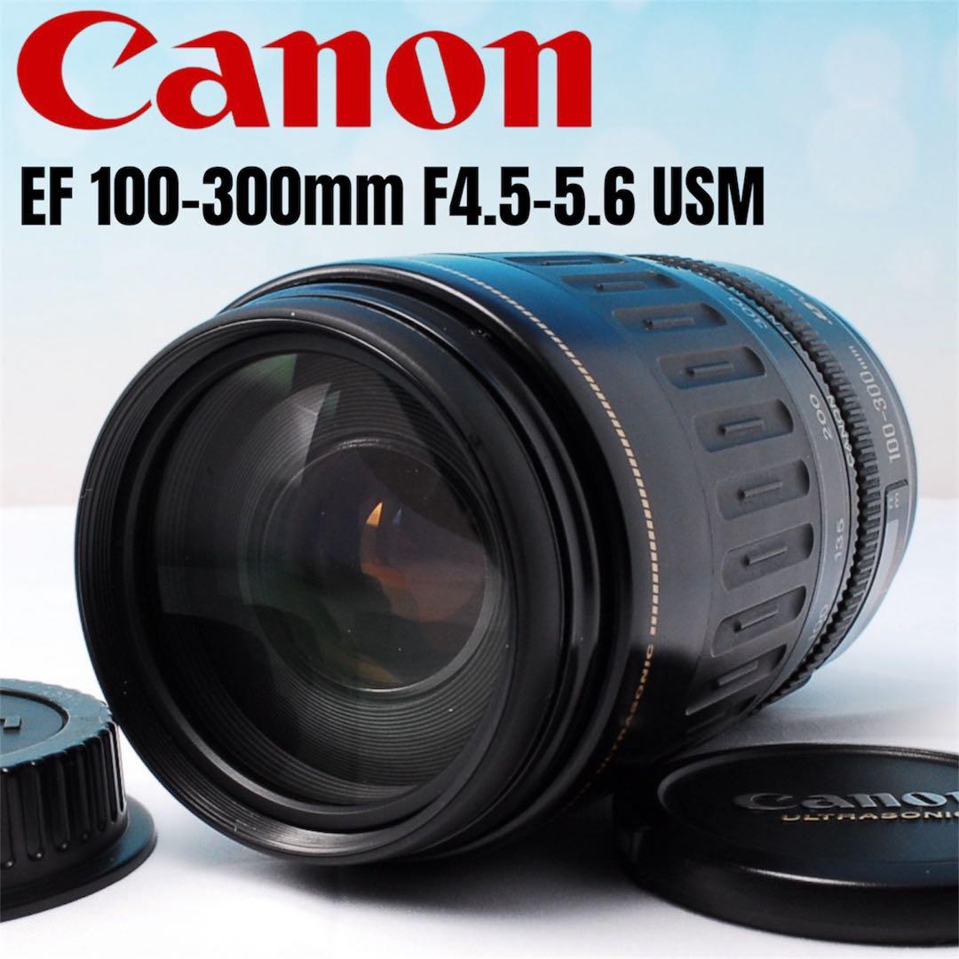 Canon EF 100-300mm F4.5-5.6 USM 超望遠レンズ