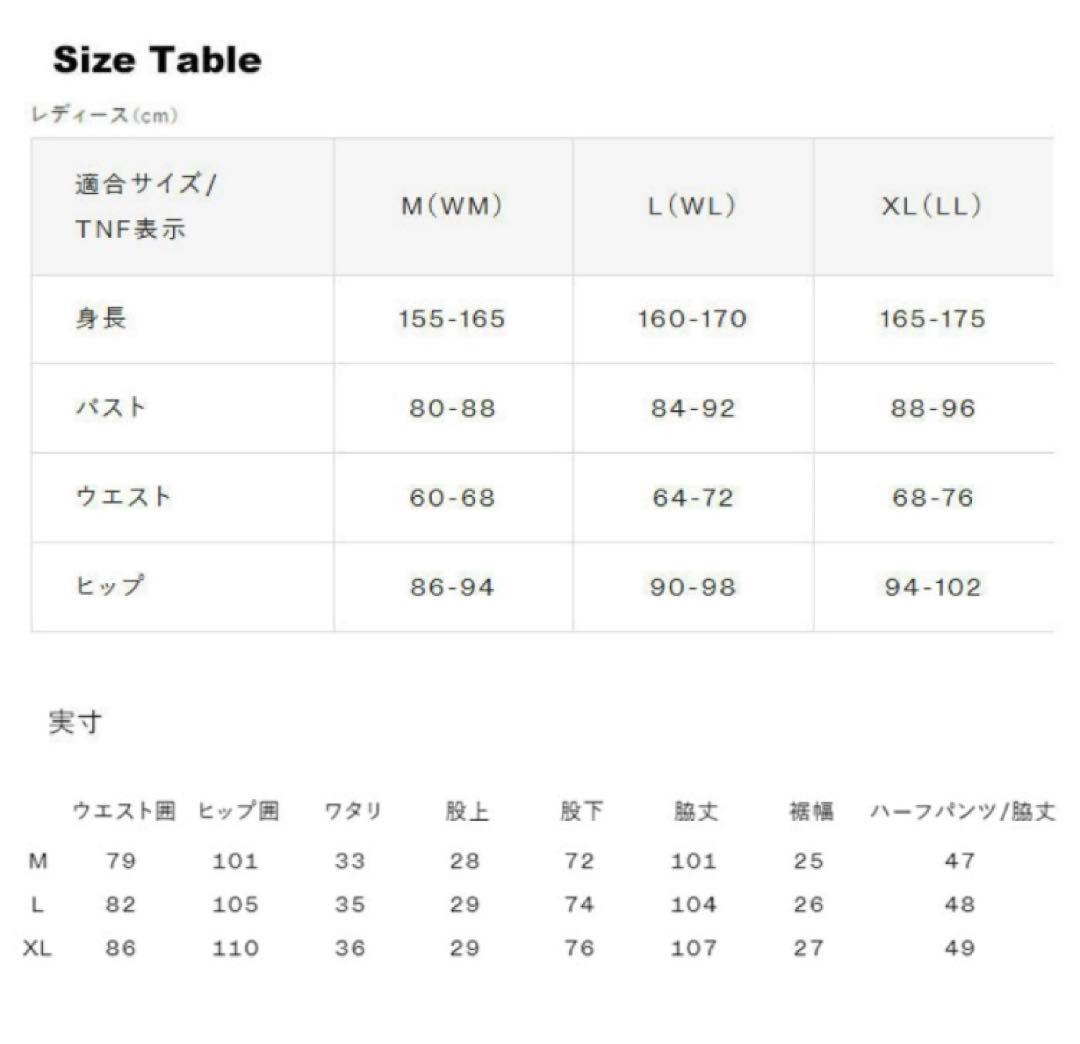 【完売品】THE NORTH FACE ジップオフカーゴパンツ　BLACK/L