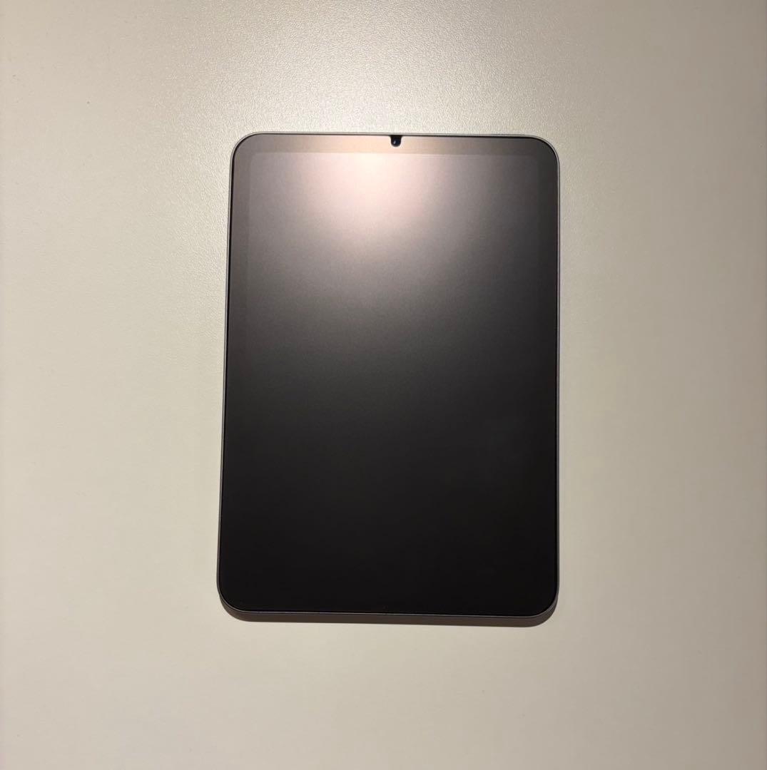 iPad mini Wi‑Fiモデル 256GB - スペースグレイ