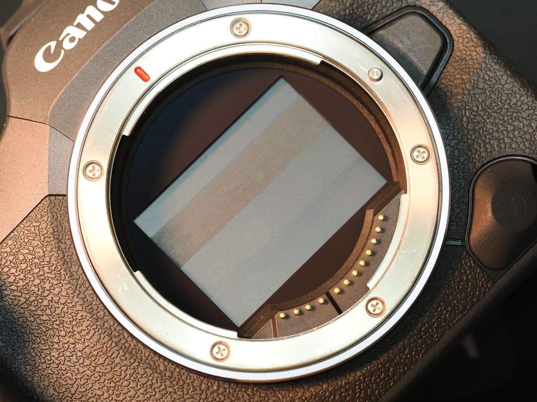 CANON EOS R5 Mark II ボディ