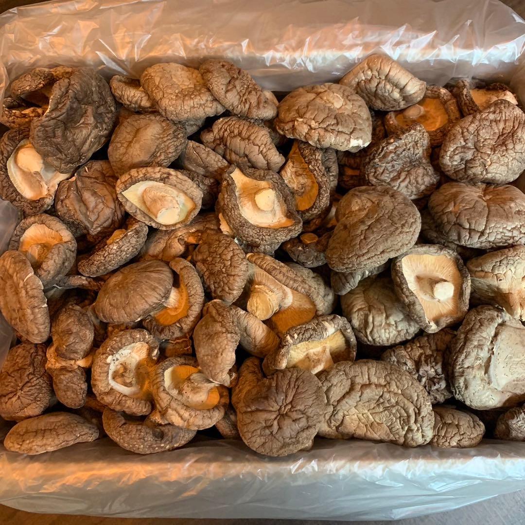 【産地直送】 乾燥椎茸　2kg 業務用　しいたけ　岩手県産　東北の味　どんこ椎茸