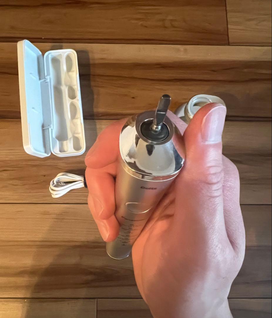 美 Panasonic ドルツ EW-DP53-S 音波振動ハブラシ ケース付き