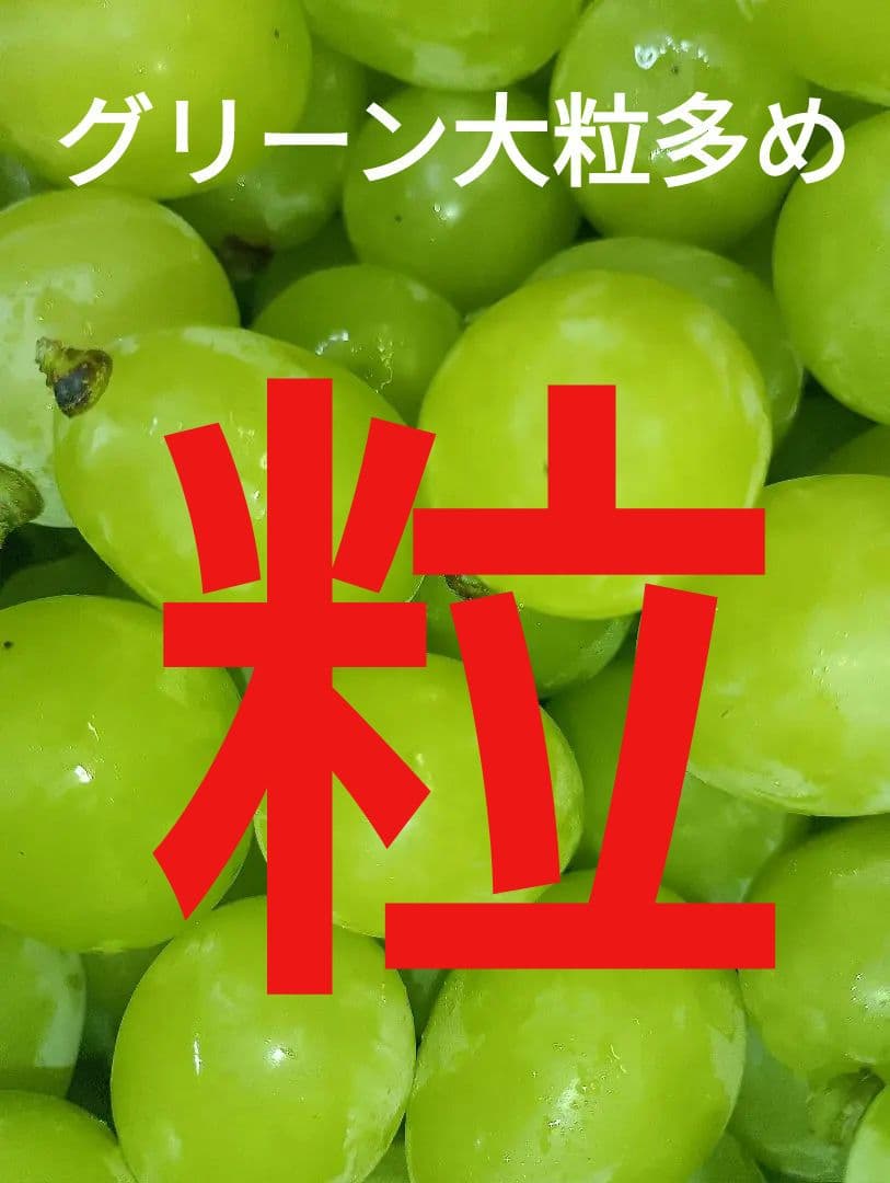 限定特売品シャインマスカット大粒グリーン多め入り5キロ粒バック入りになります。