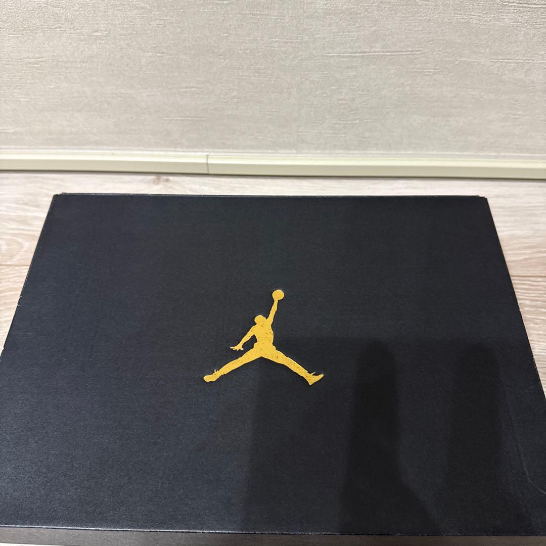 ジョーダントゥルーフライトJordan True Flight