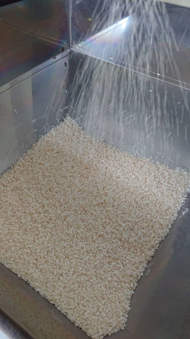 カ*ラ様 コシヒカリ 令和７年 20キロ 新鮮白米 減農薬 精米済み