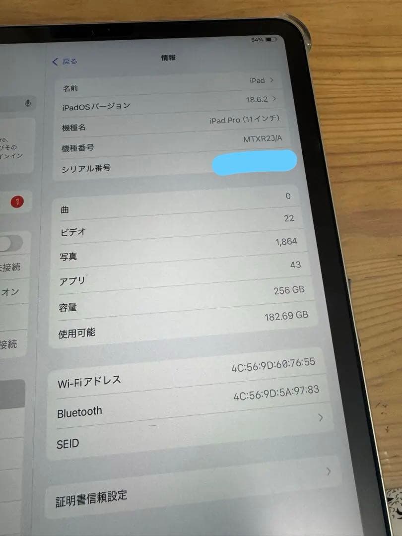 iPad pro 11インチ　第一世代　256GB