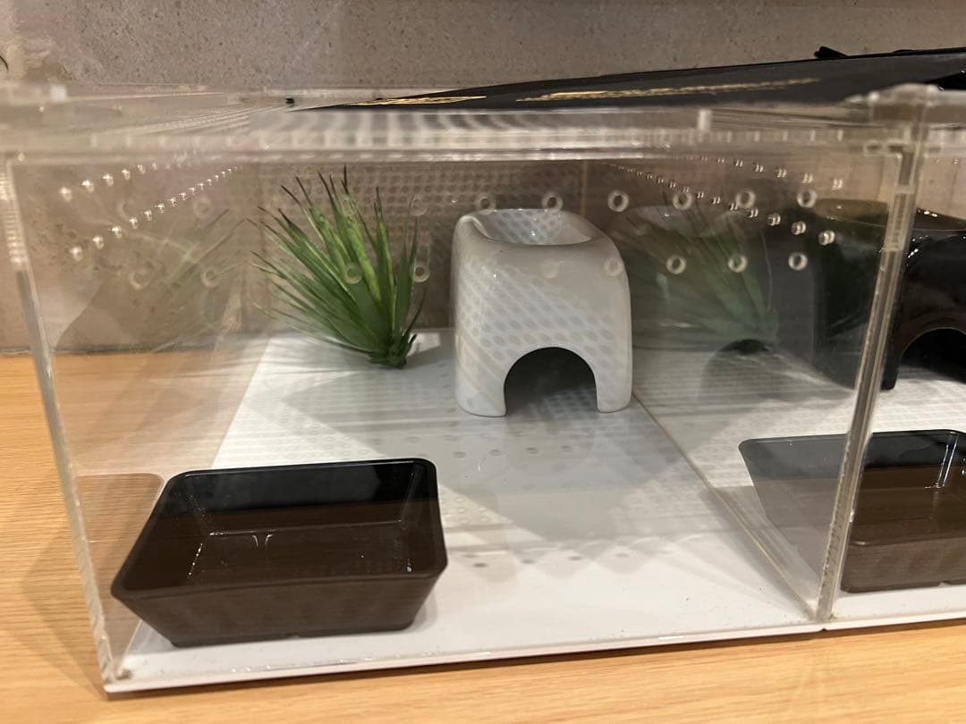 爬虫類飼育セット　2セット　ヒーター付き