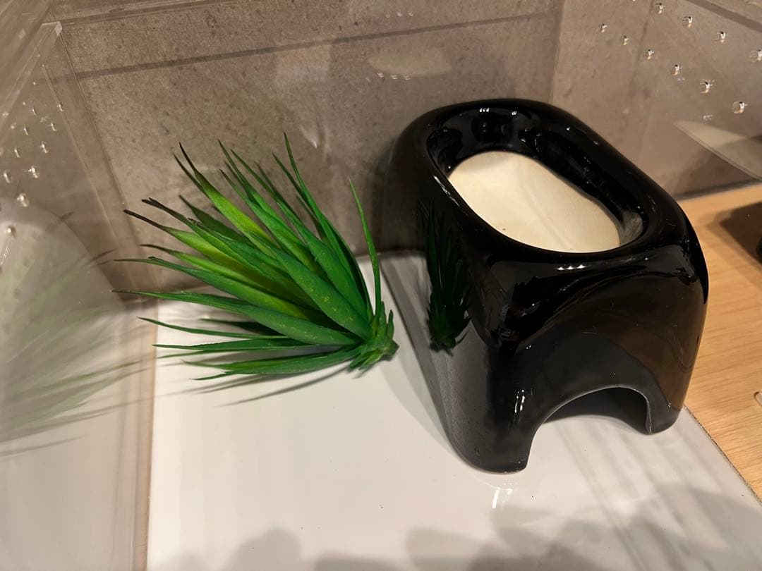 爬虫類飼育セット　2セット　ヒーター付き