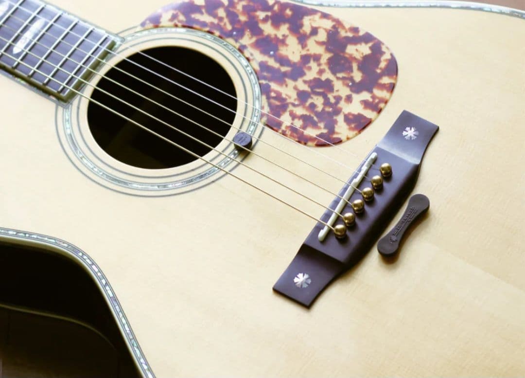 グ*チ様 natu-reverb AC-1 \"MAX\" アコースティックギター用