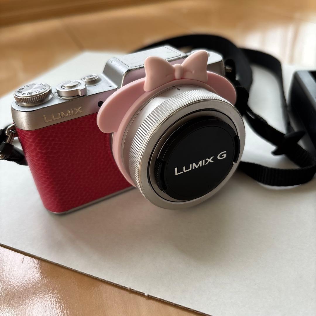 Panasonic LUMIX G ミラーレスカメラ レッド