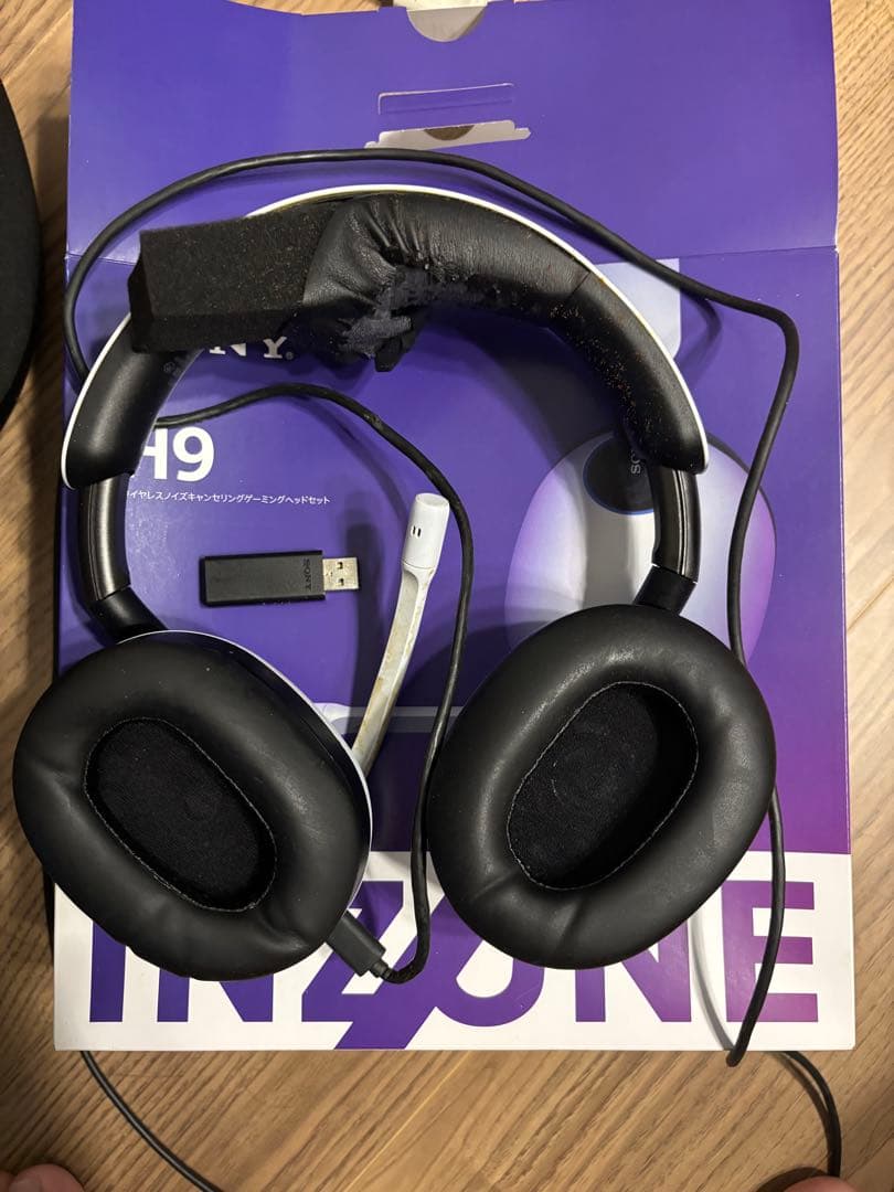 インゾーン inzone H9