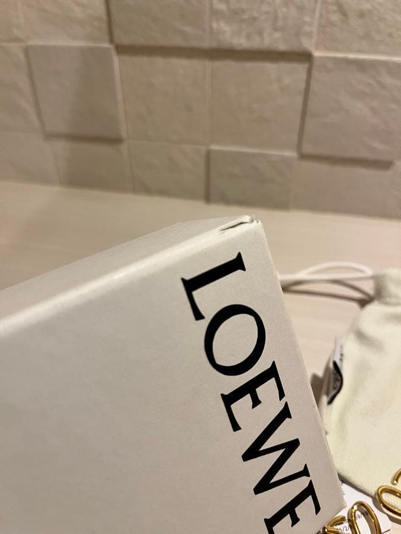 【てるるん】LOEWE アブストラクトブローチ