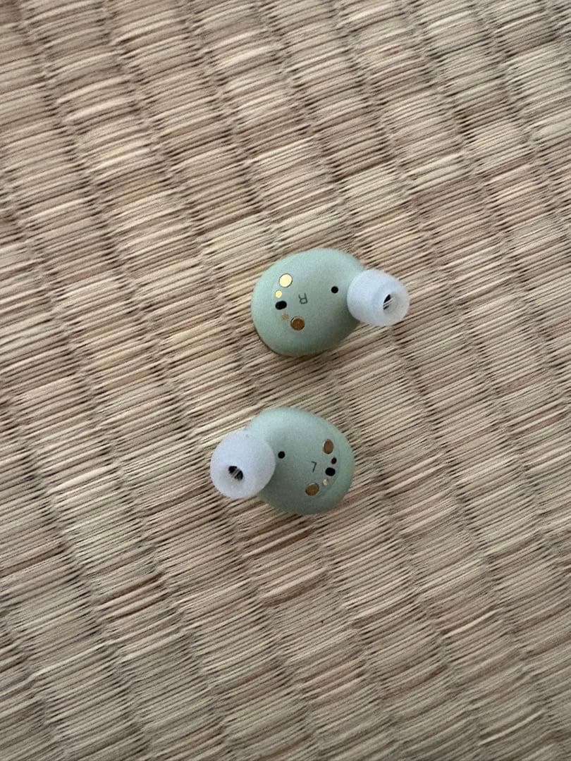 イヤホン Bowers&Wilkins Pi8