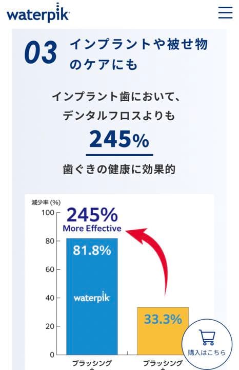Waterpik 値下げ交渉可！！