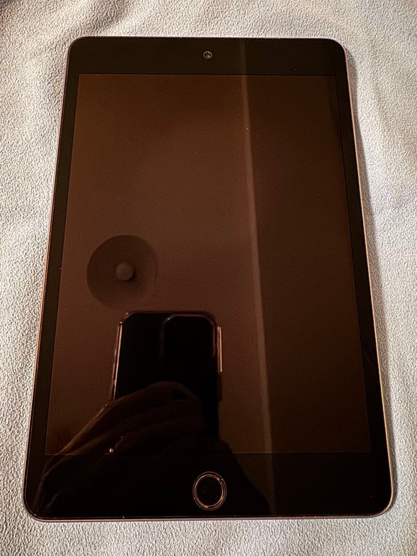 Apple iPad mini 5 64GB スペースグレイ