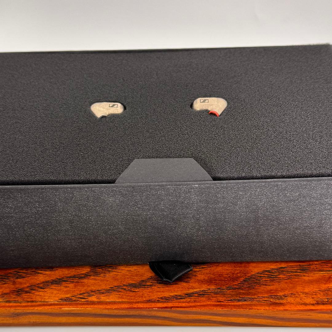 Sennheiser IE 600 ハイエンド有線イヤホン 付属品完備 2024