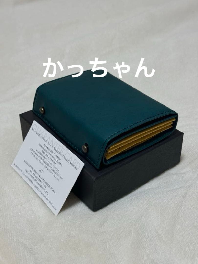 新品　m+ エムピウ　ミッレフォッリエⅡ P25 限定色　オルテンシア