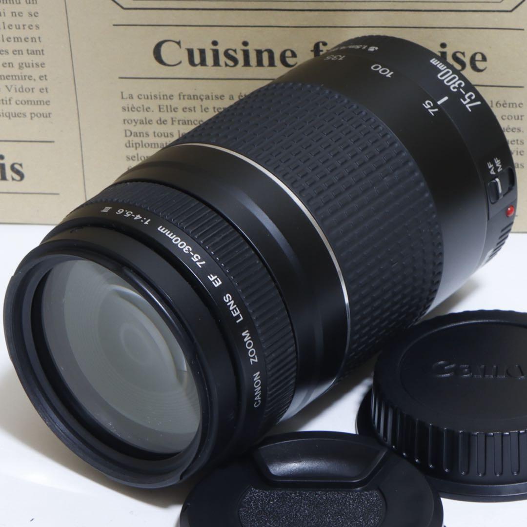 ◇大迫力超望遠!!◇Canon純正 75-300mm III型 超望遠レンズ◇