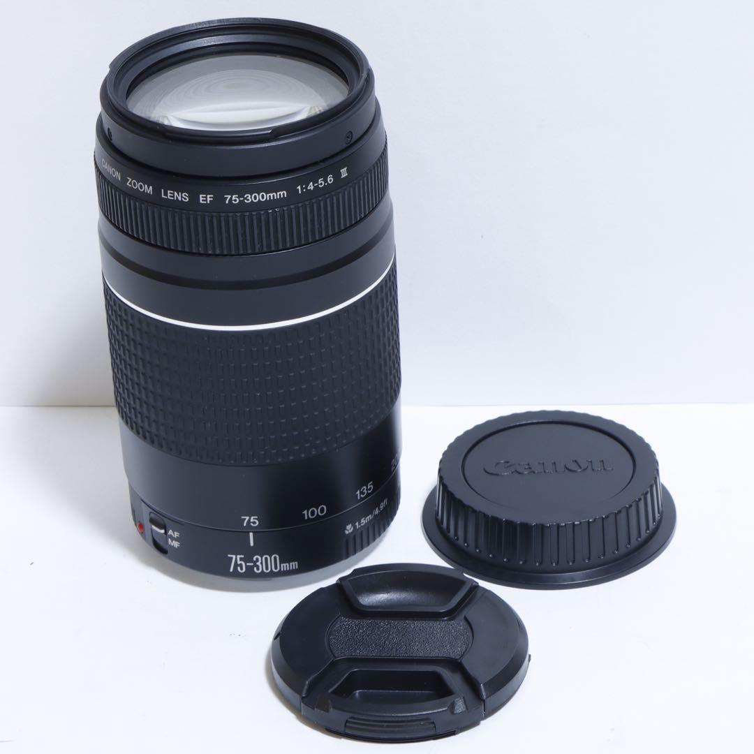 ◇大迫力超望遠!!◇Canon純正 75-300mm III型 超望遠レンズ◇