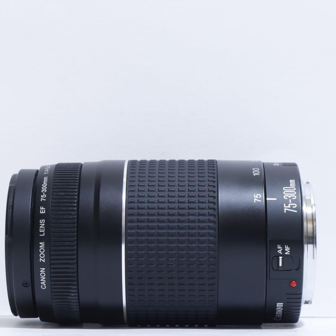 ◇大迫力超望遠!!◇Canon純正 75-300mm III型 超望遠レンズ◇