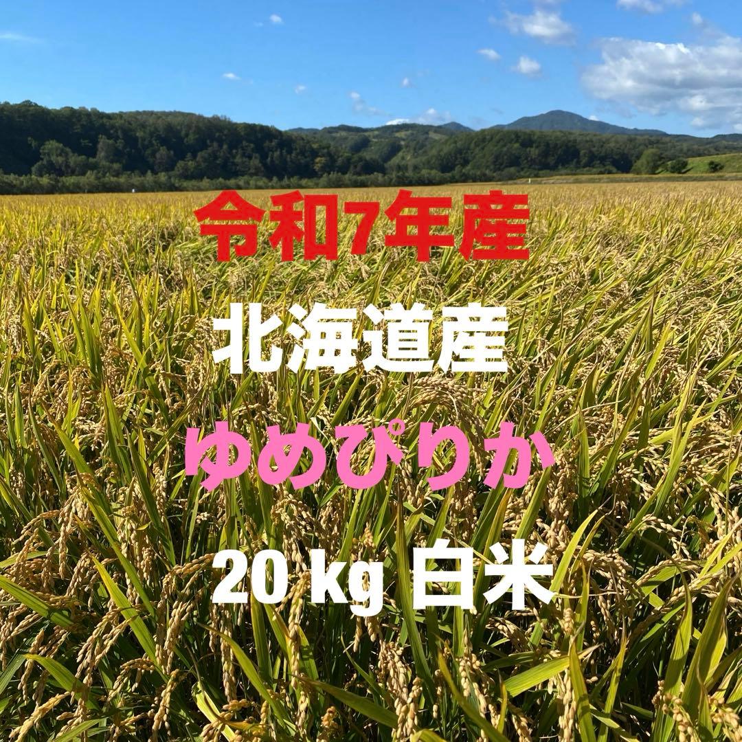 北海道産ゆめぴりか20 kg白米