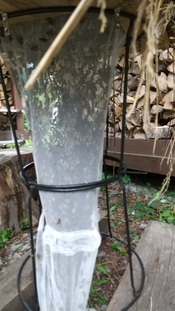 日本蜜蜂 ハチミツ 1160g 八ヶ岳西麓標高1250m