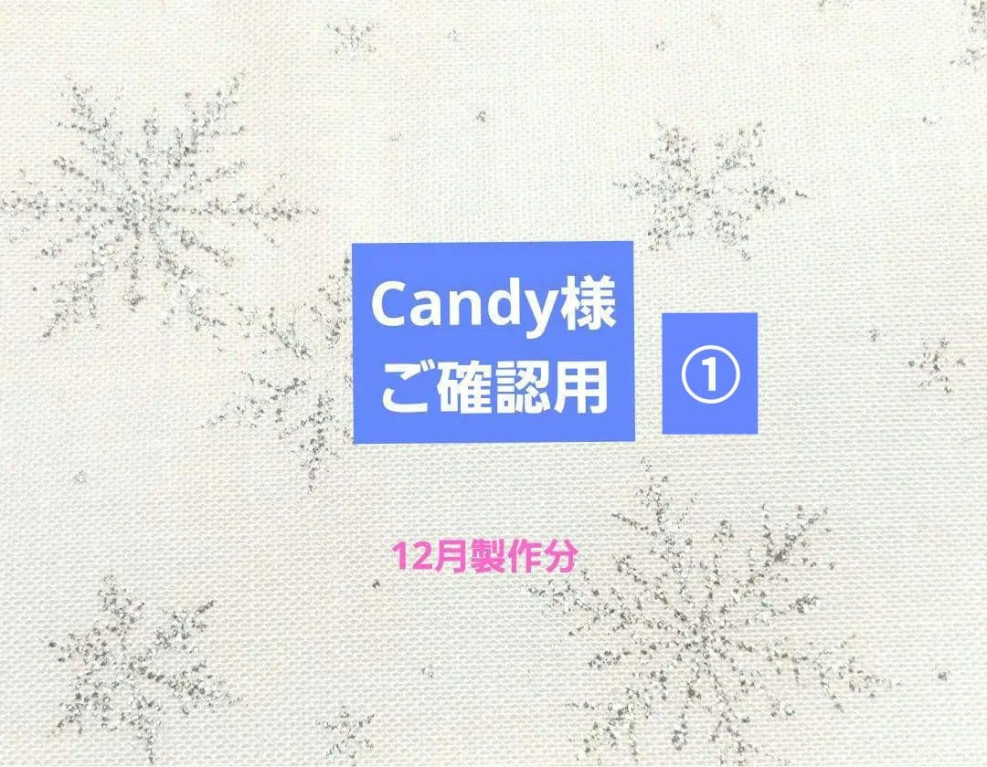 Candy様 12月製作分①トートバッグ