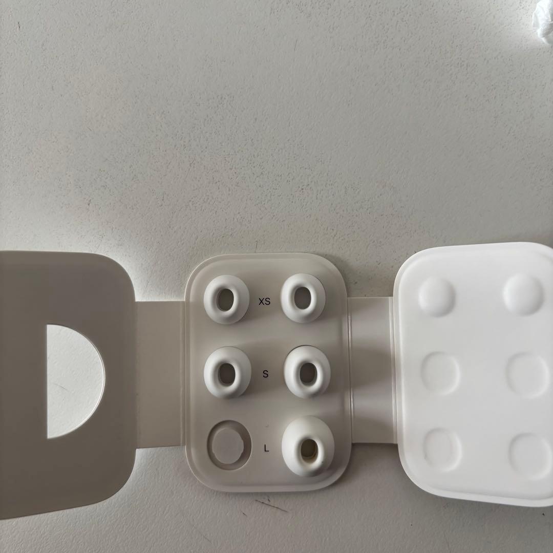 AirPods Pro 本体 充電ケース付き 右耳