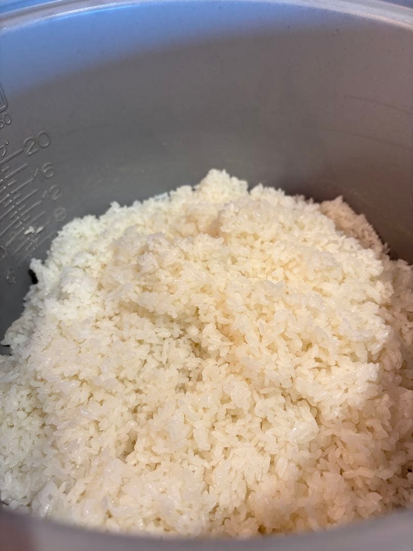 タイガーTIGER 業務用炊飯ジャー 炊き立てJNO-A360 xs 二升炊き