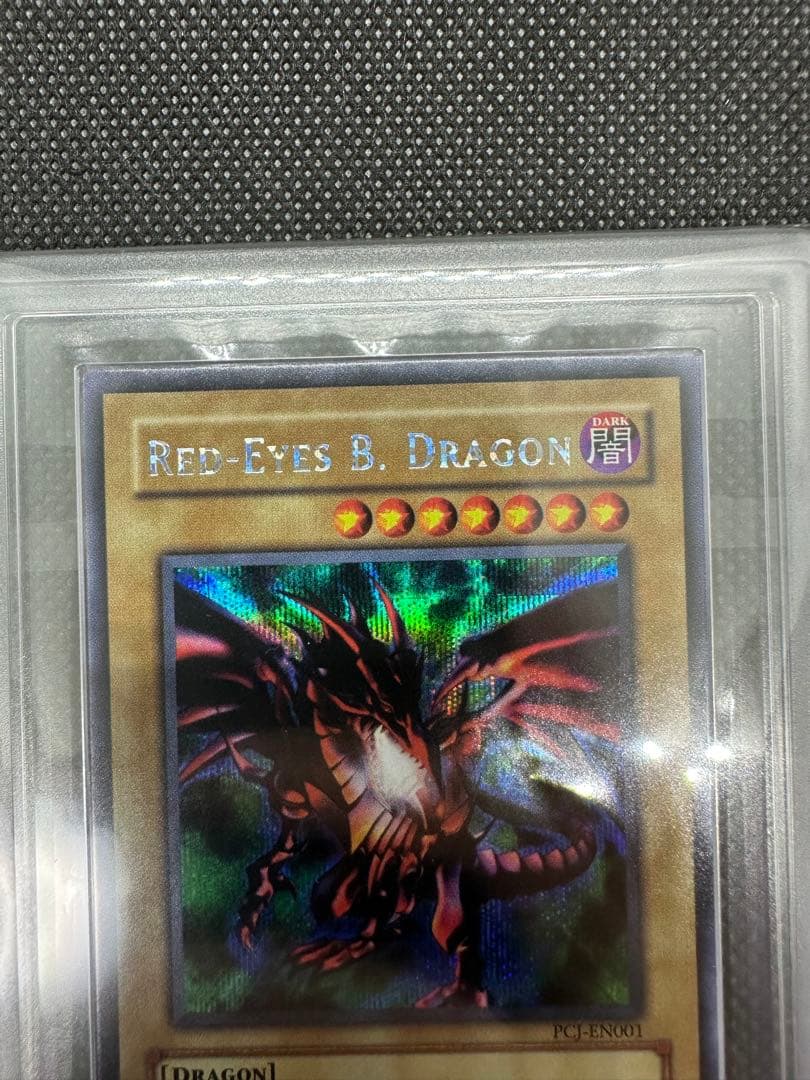 遊戯王 真紅眼の黒竜 英語版 シク PCJ ARS9 おまけあり