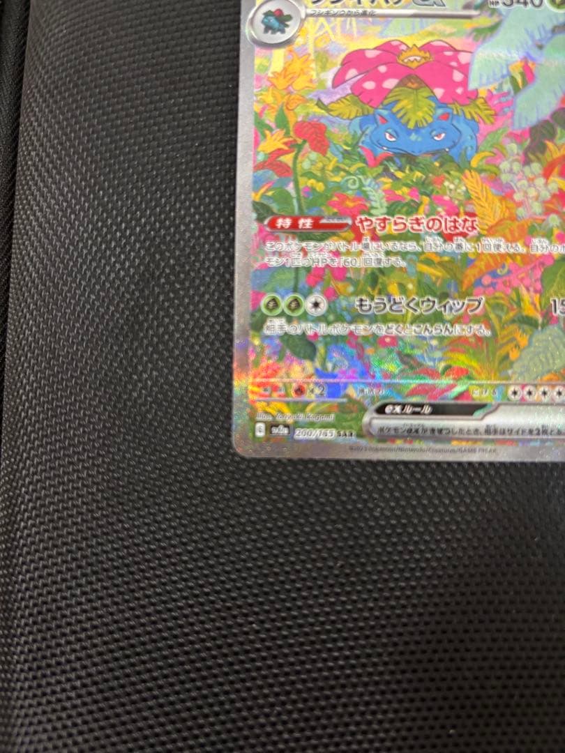 フシギバナex SAR カメックスex SAR セット　まとめ売り